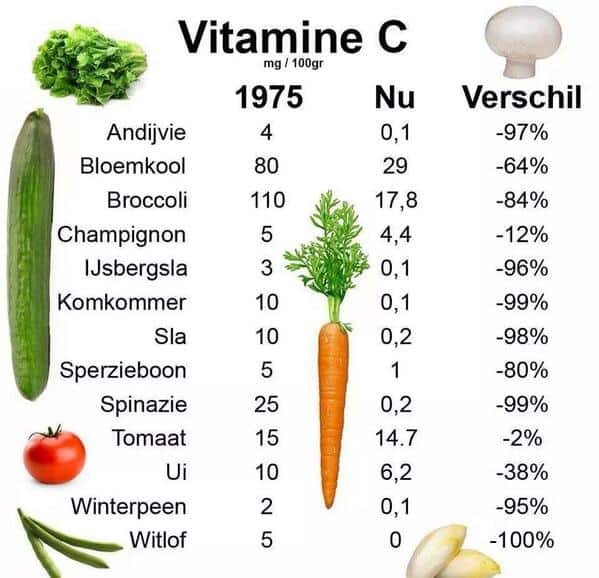 vitamine C overzicht