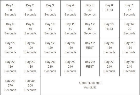 30-day-plank-challenge1